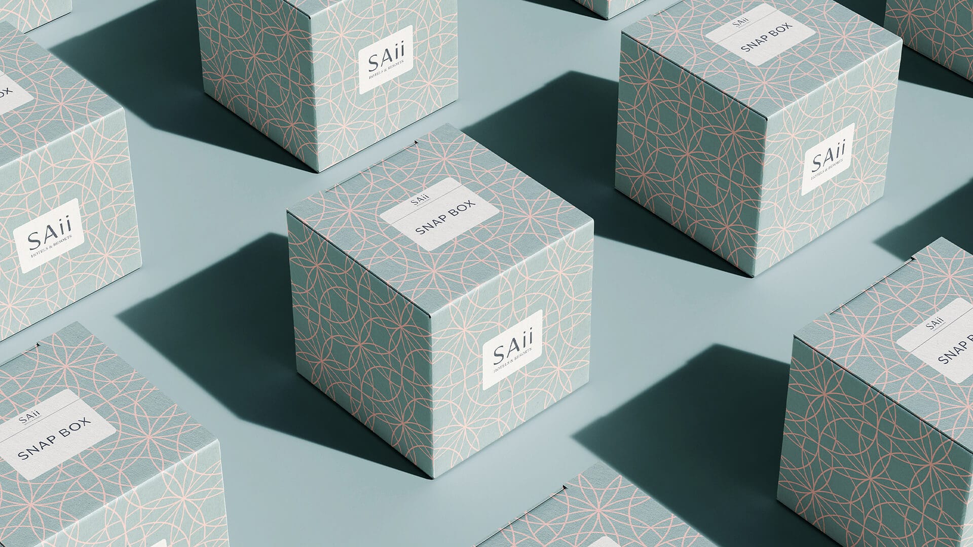 SAii product packaging of the Snap Box